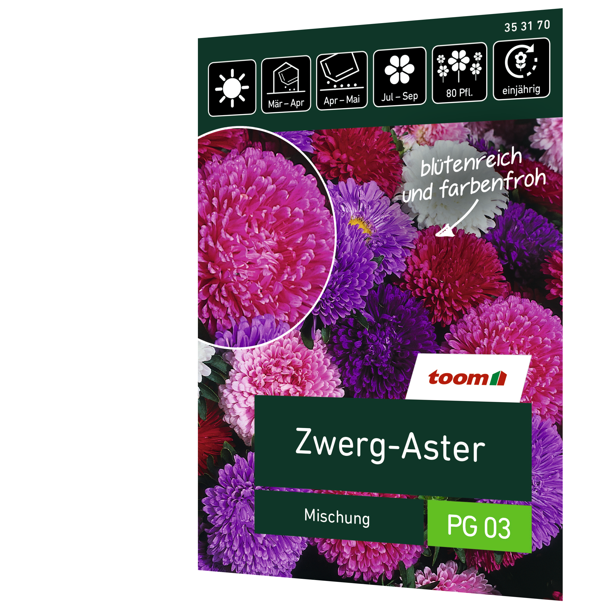 Zwerg-Aster 'Mischung' + product picture