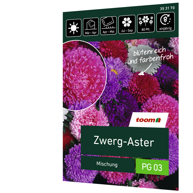 Bild von Zwerg-Aster 'Mischung'