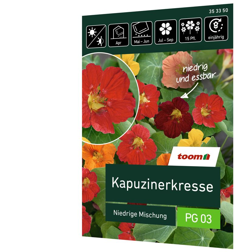 Kapuzinerkresse 'Niedrige Mischung'