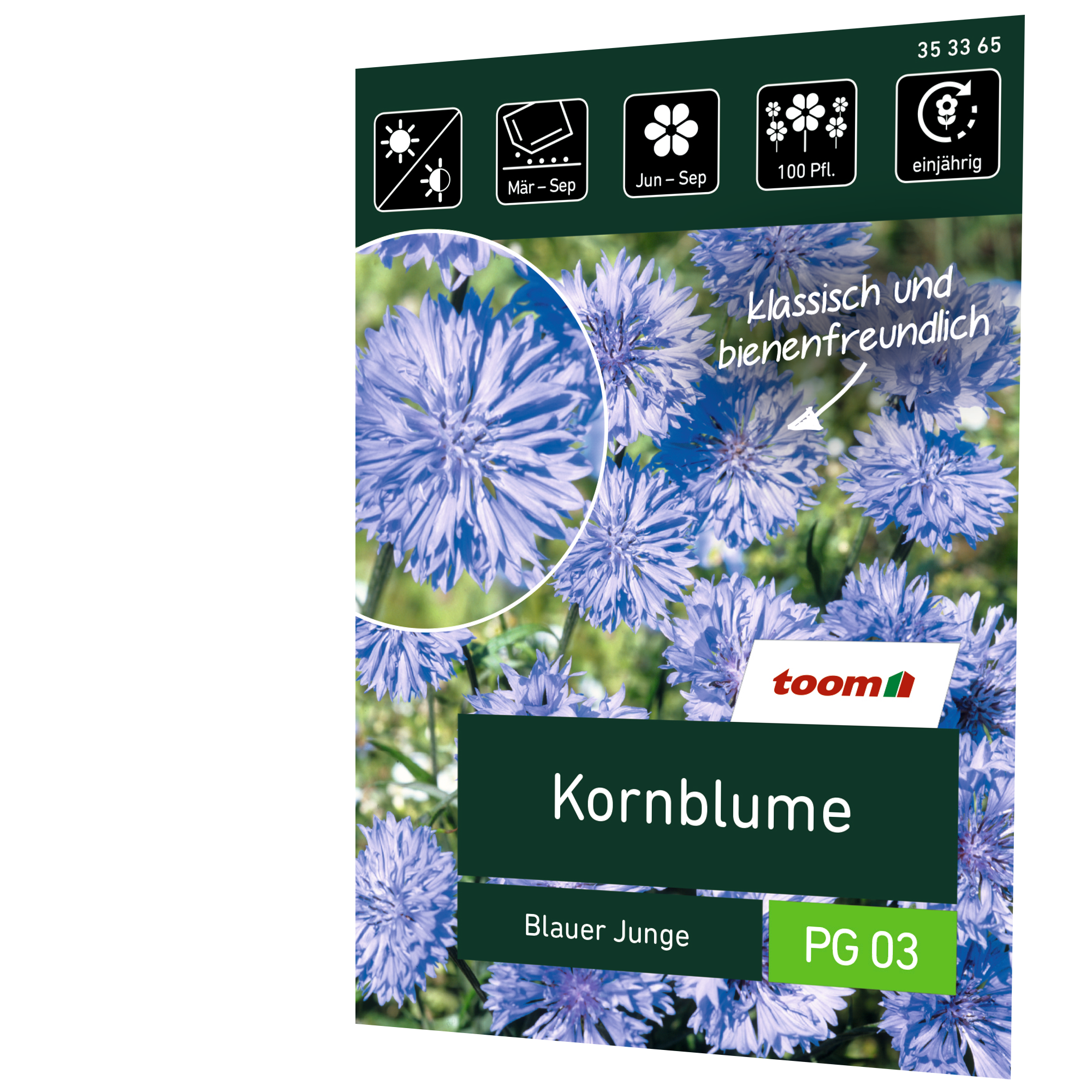 Kornblume 'Blauer Junge' + product picture