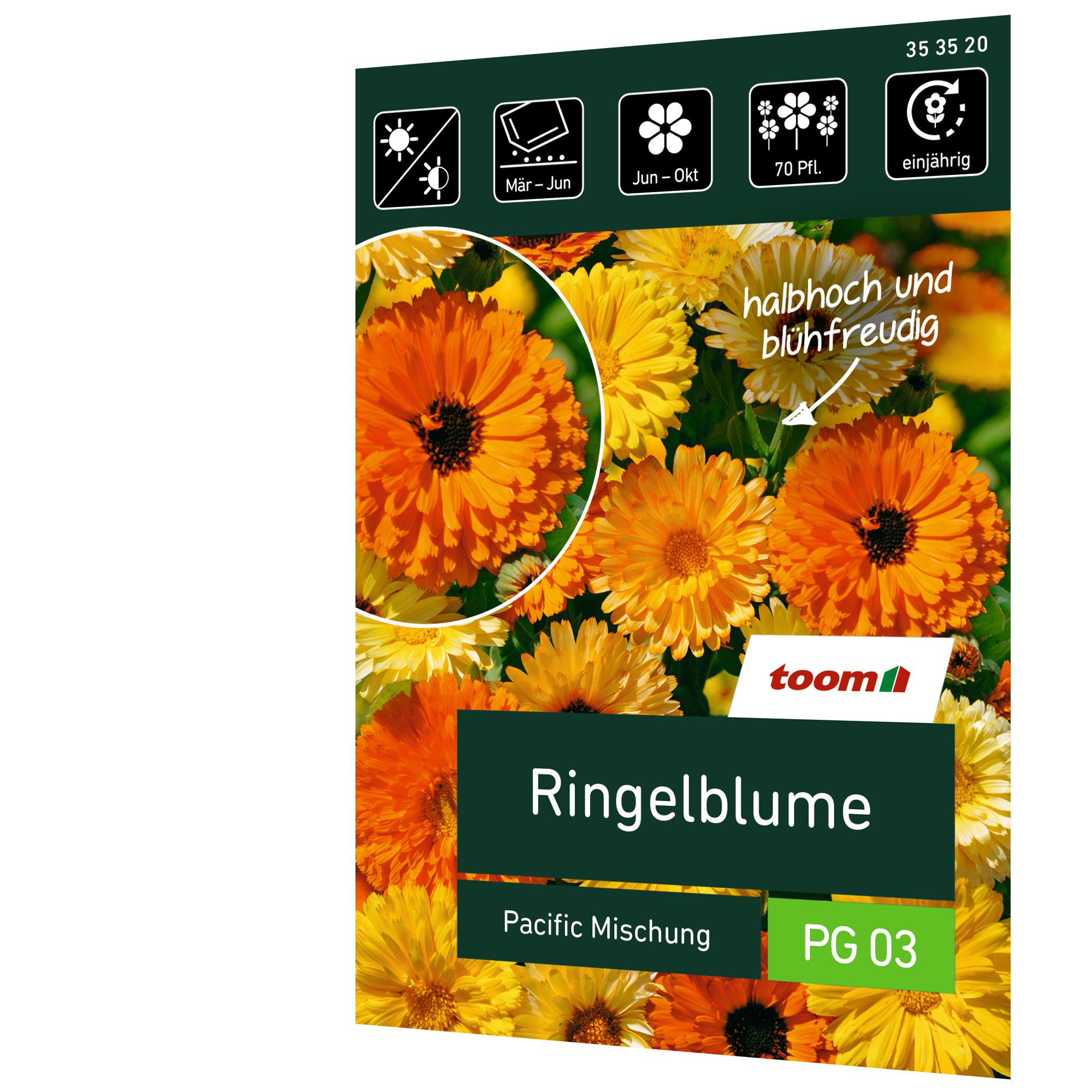 Ringelblume 'Pacific Mischung' + product picture