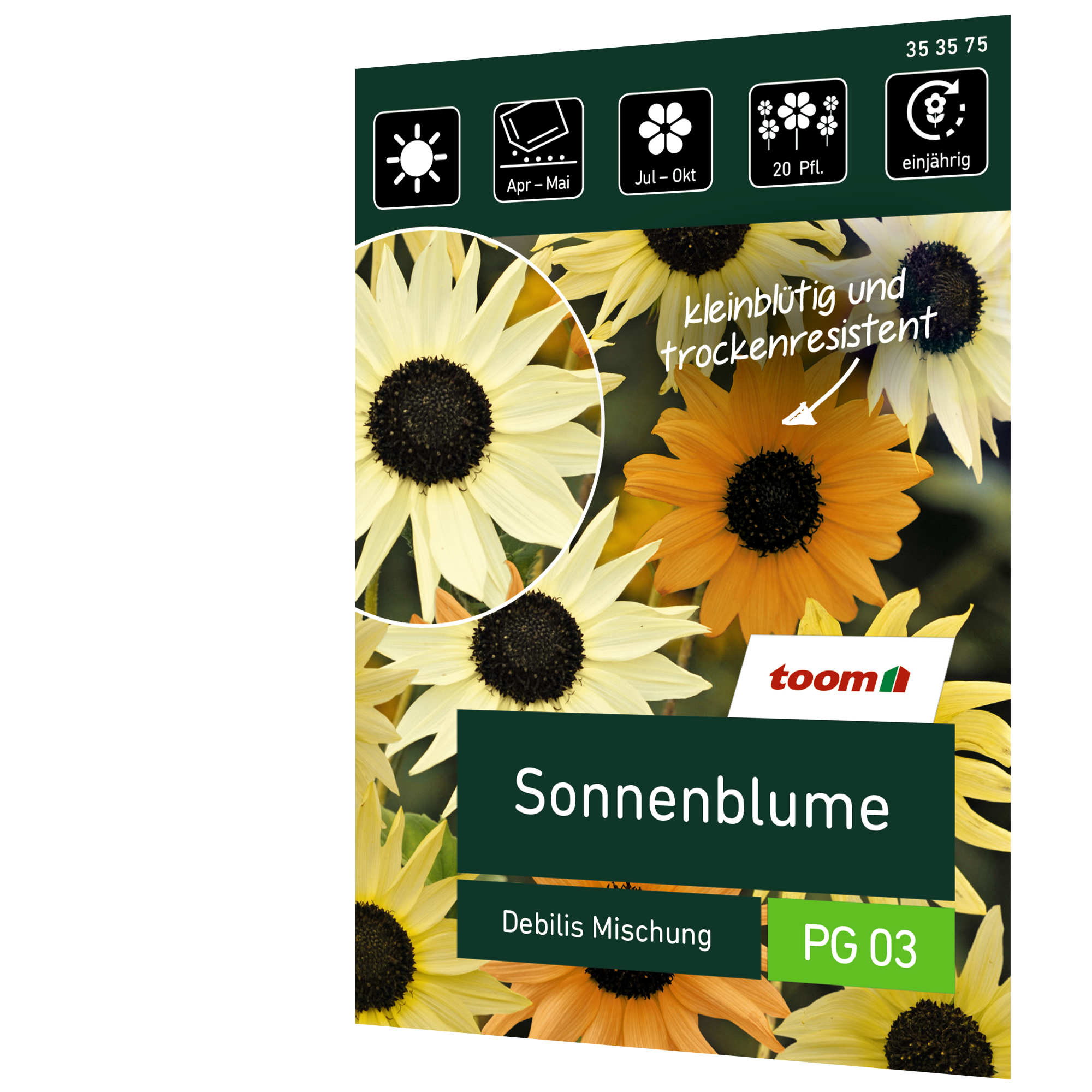 Sonnenblume 'Debilis Mischung' + product picture