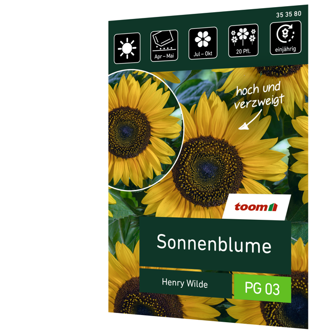 Bild von Sonnenblume 'Henry Wilde'