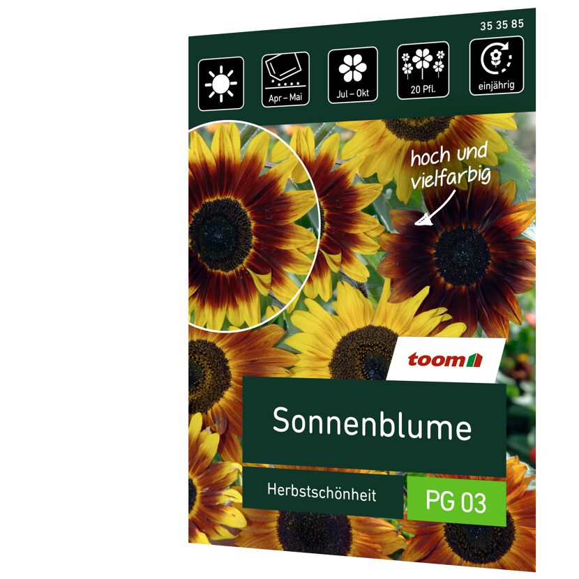 Sonnenblume Herbstschönheit, Samenpackung von toom