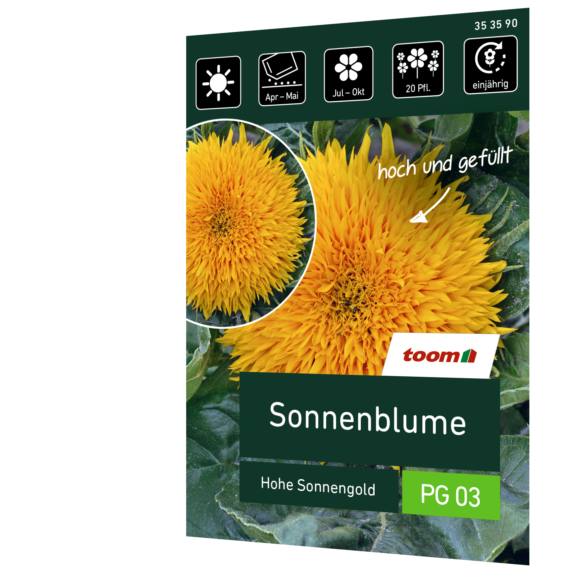 Sonnenblume 'Hohe Sonnengold' + product picture