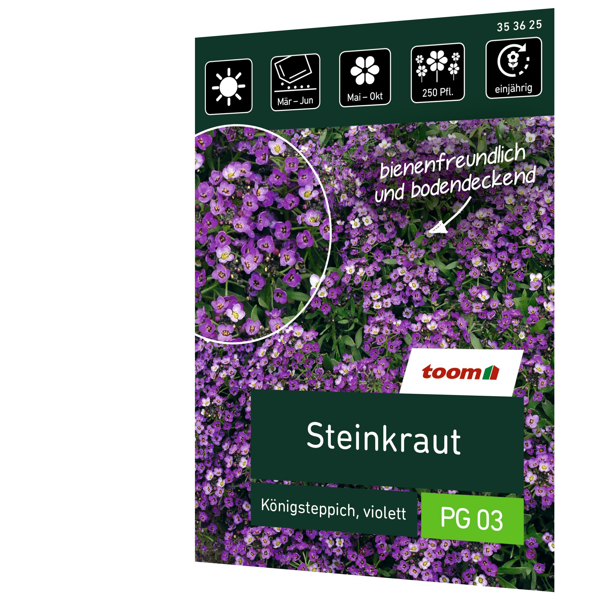 Steinkraut Königsteppich, violett