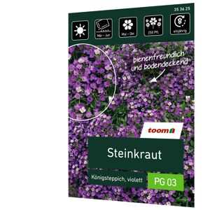 Steinkraut 'Königsteppich violett'