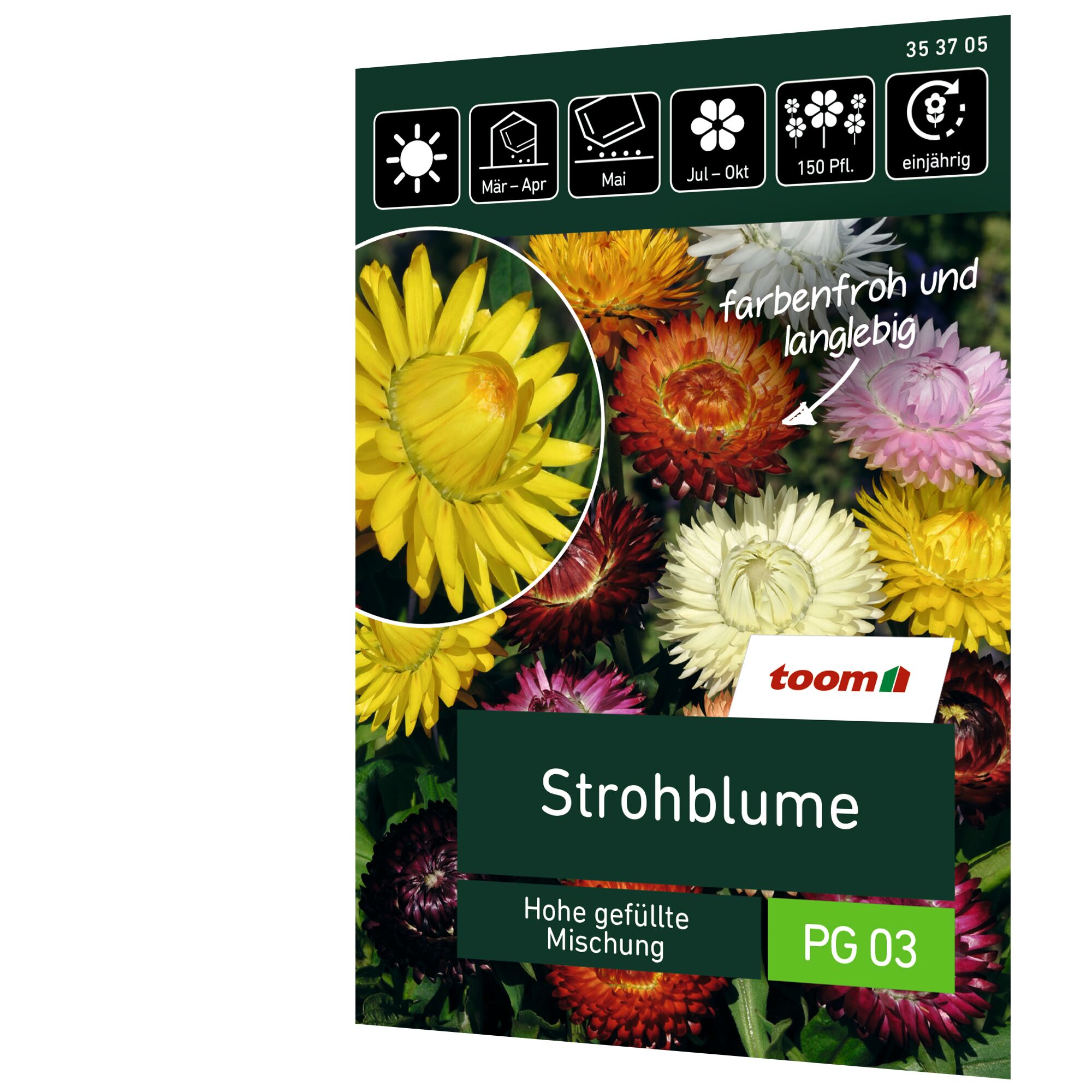 Strohblumen Saatgut von toom in verschiedenen Farben.