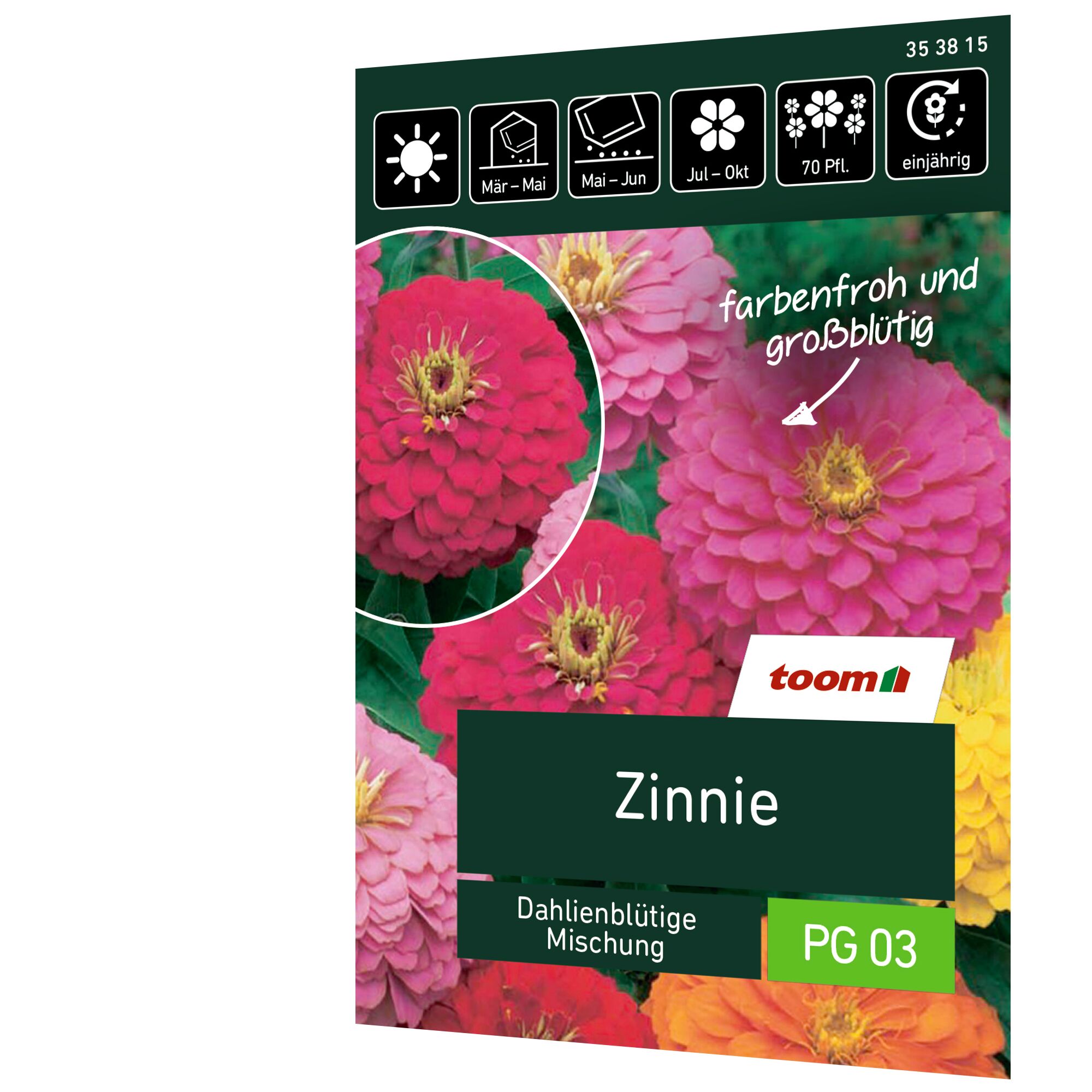 Zinnie, Dahlienblütige Mischung