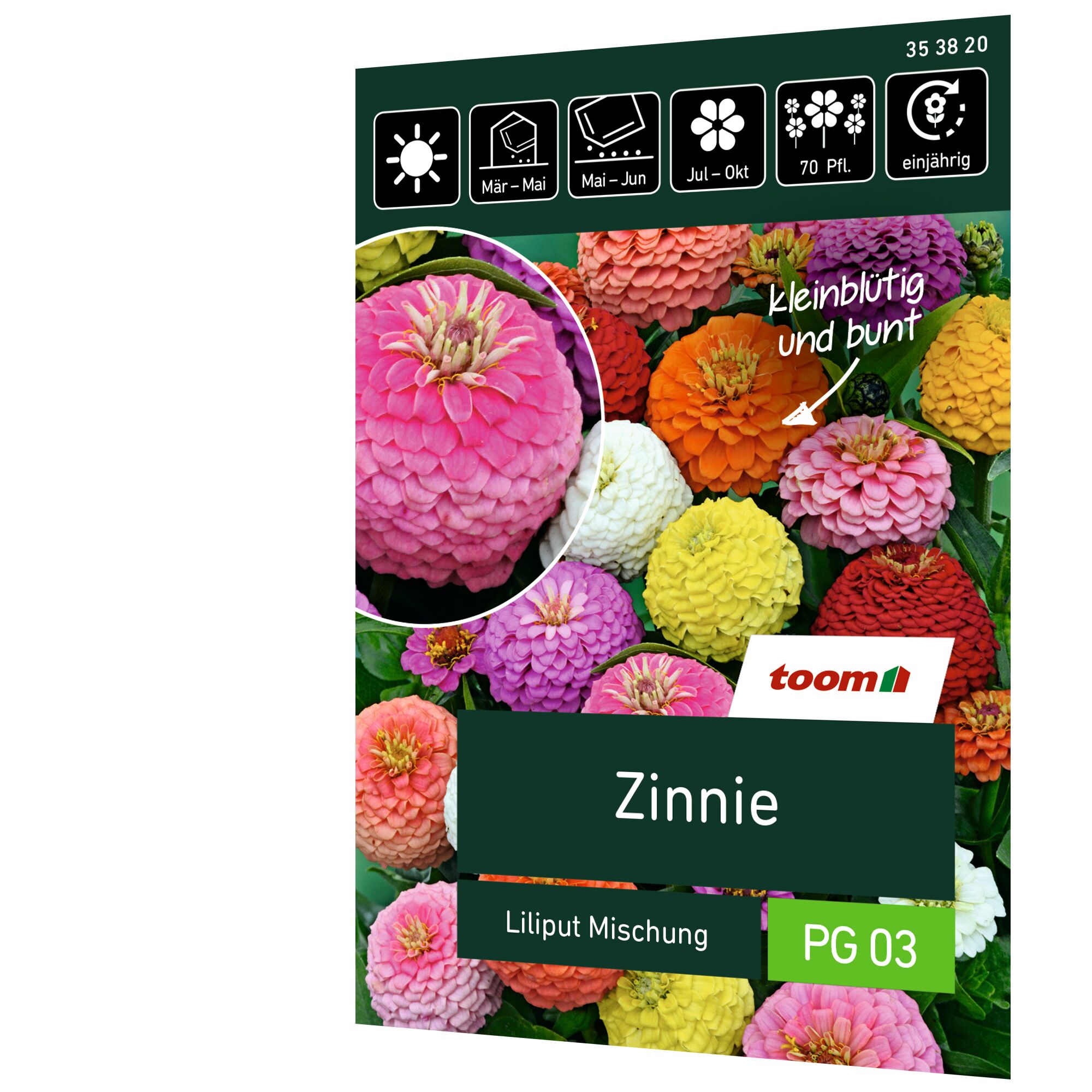Zinnie Liliput Mischung, kleinblütig und bunt