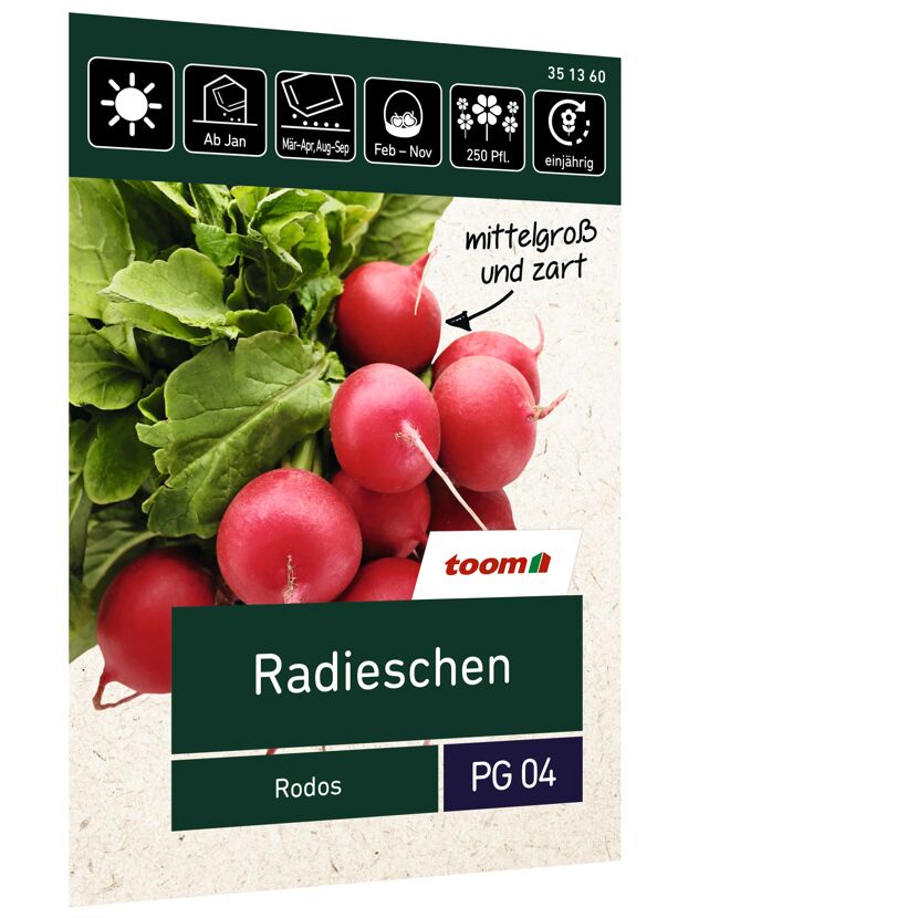Radieschen Rodos, mittelgroß und zart