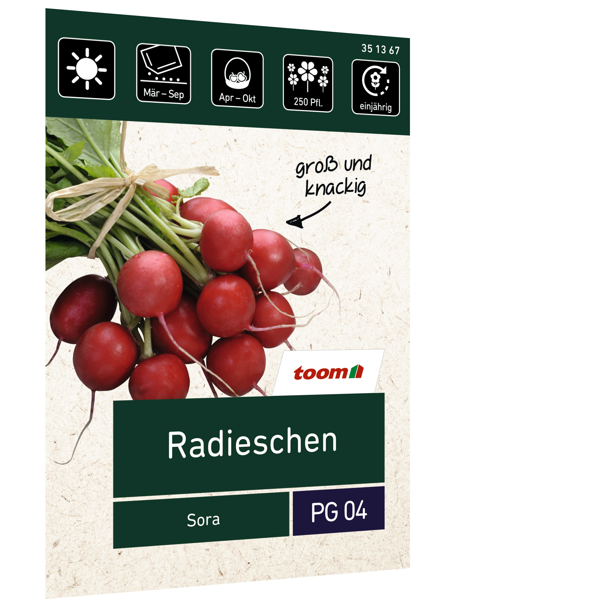 Radieschen 'Sora' + product picture