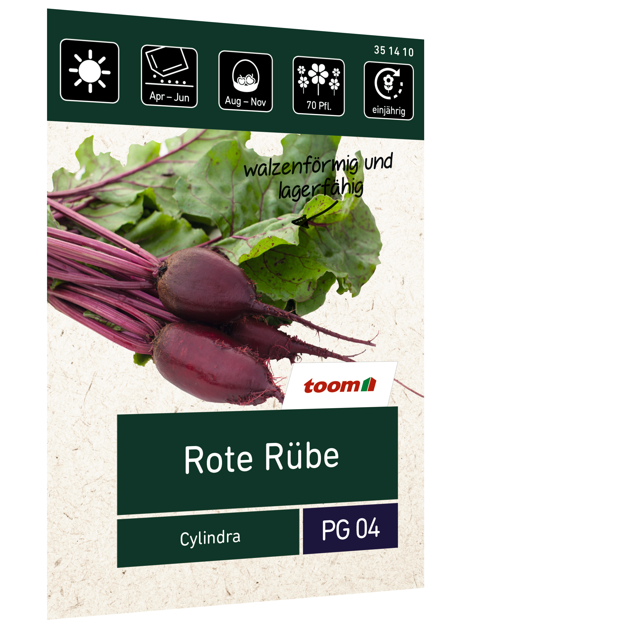 Rote Rübe 'Cylindra' + product picture