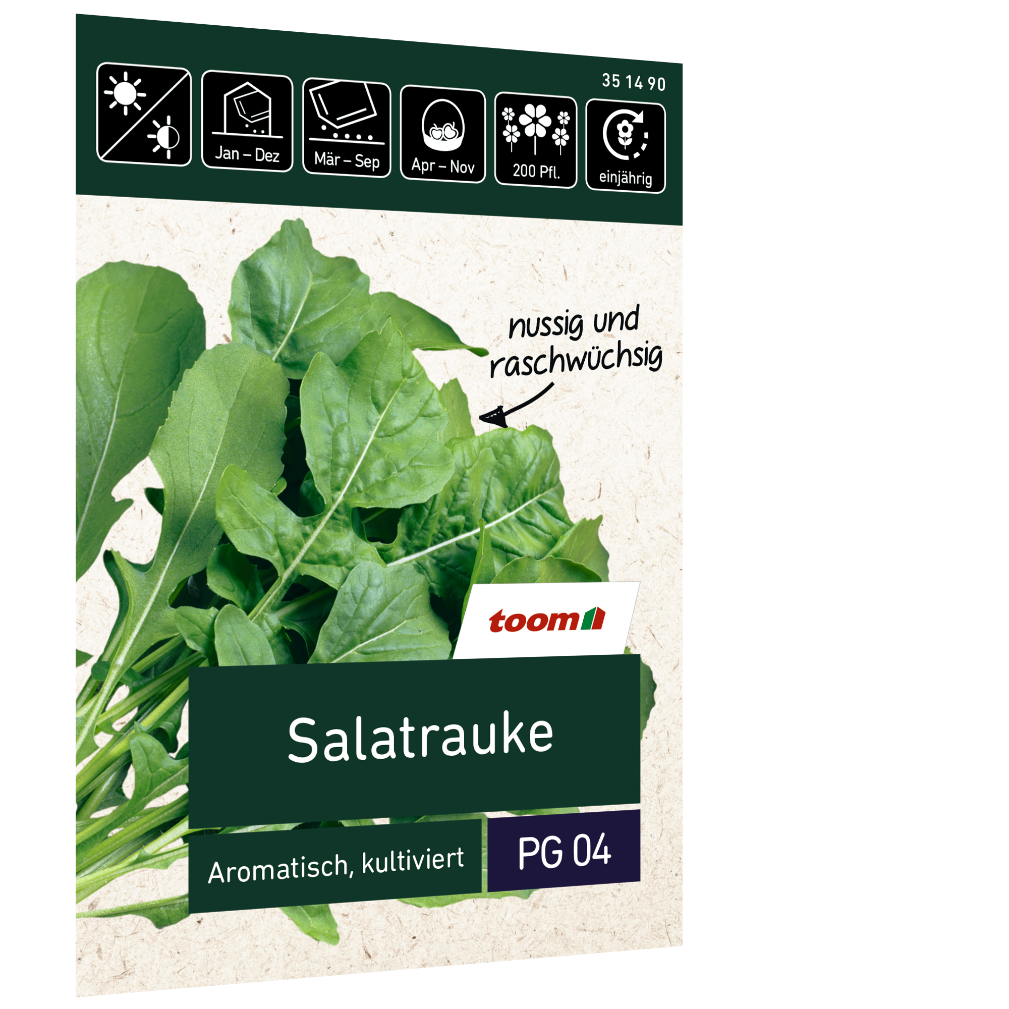 Salatrauke 'Aromatisch, kultiviert' + product picture