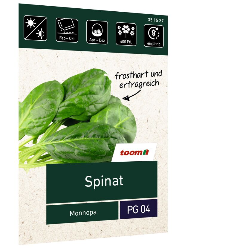 Spinat Monnopa, frosthart und ertragreich