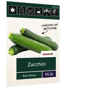 Zucchini 'Black Beauty'