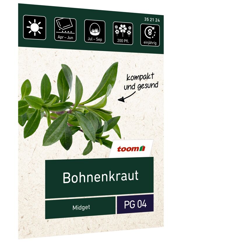 Bohnenkraut Midget