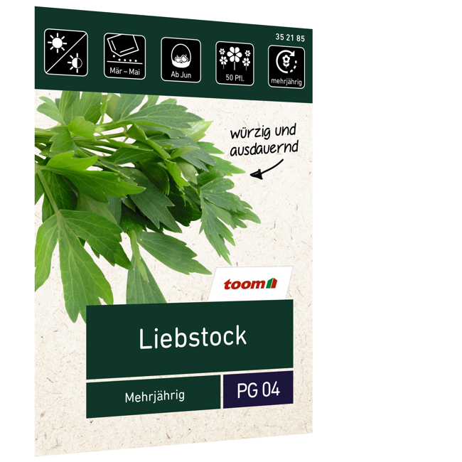 Bild von Liebstock 'Mehrjährig'