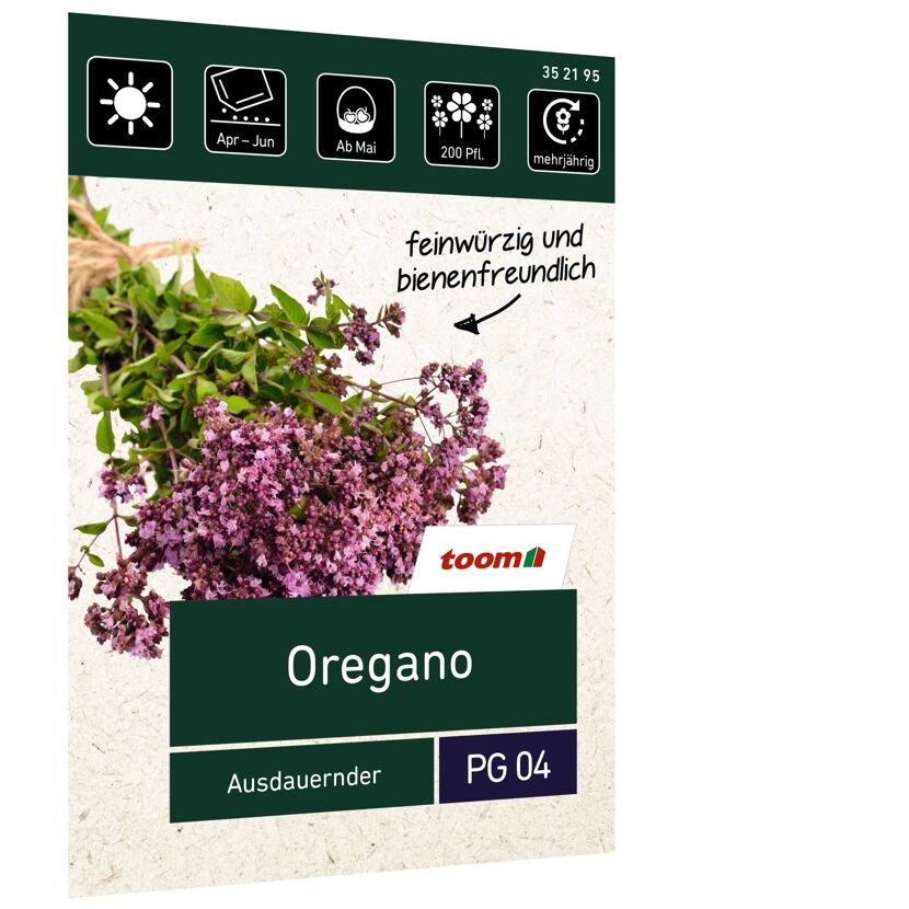 Oregano, mehrjährig, Ausdauernder