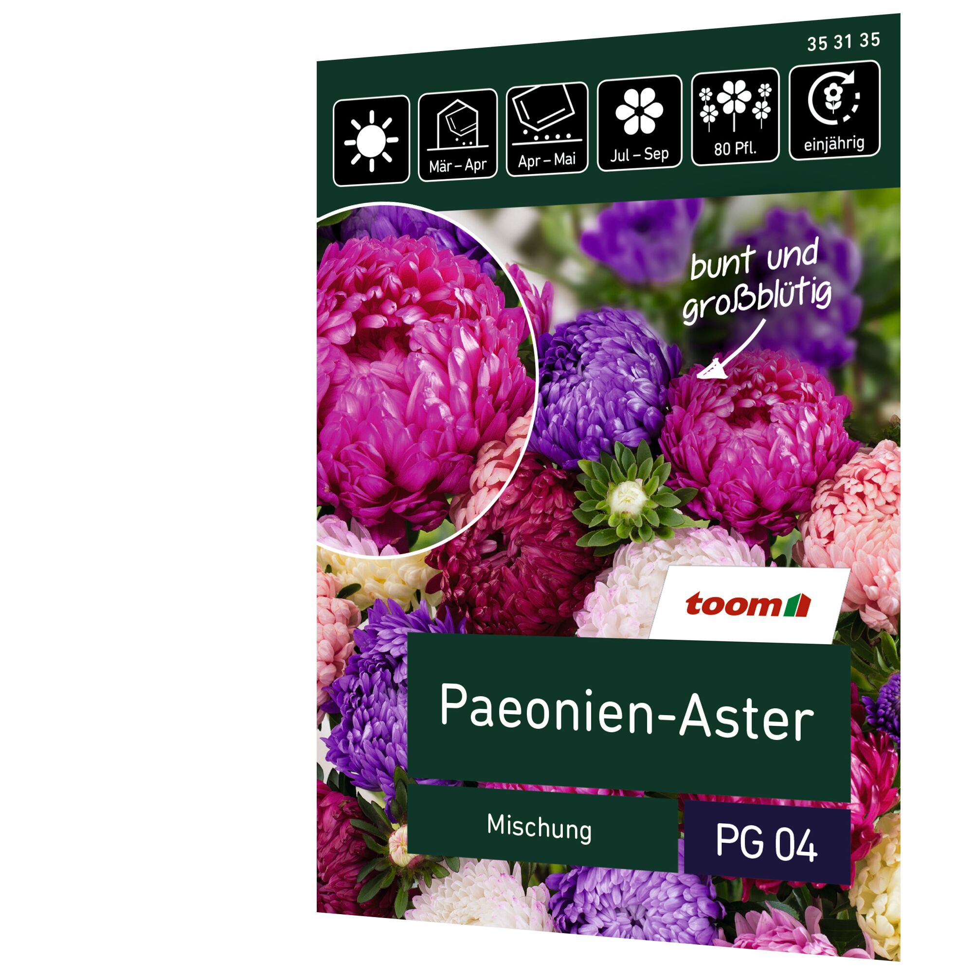 Paeonien-Aster Mischung, verschiedene Farben
