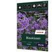 hauptbild