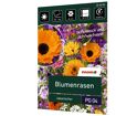 hauptbild