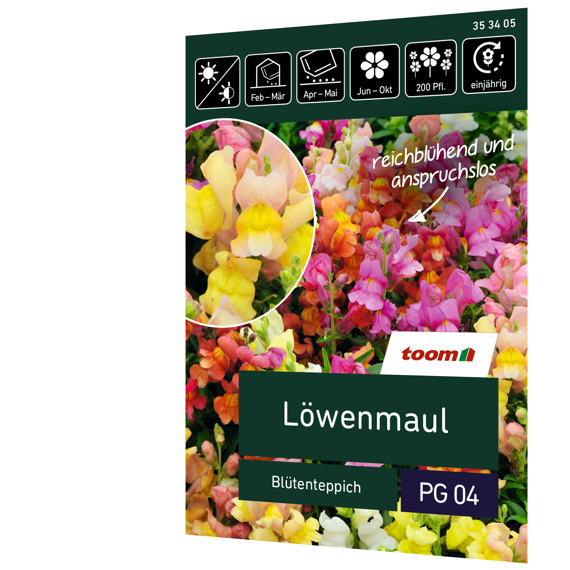 Löwenmaul 'Blütenteppich' + product picture