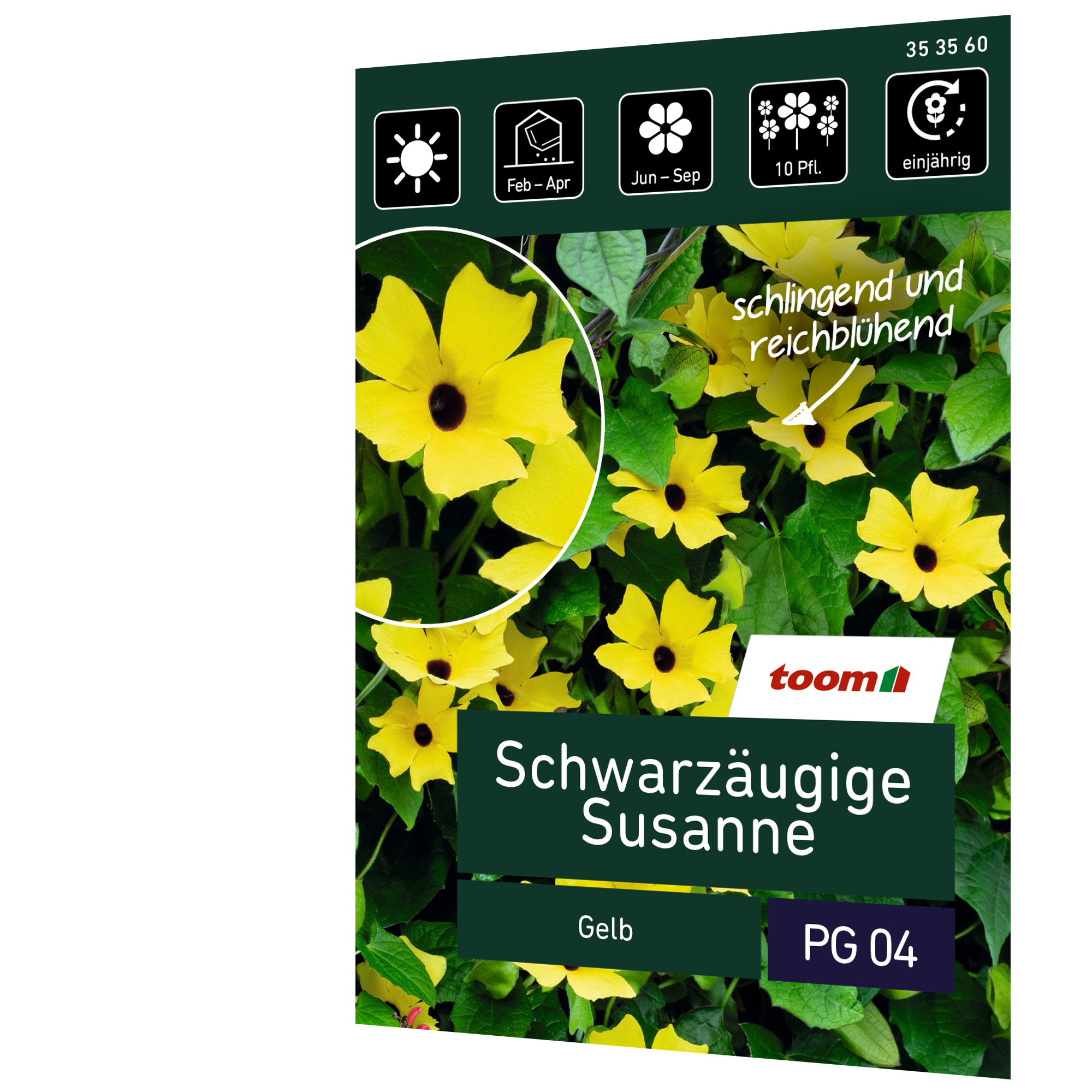 Schwarzäugige Susanne 'Gelb' + product picture