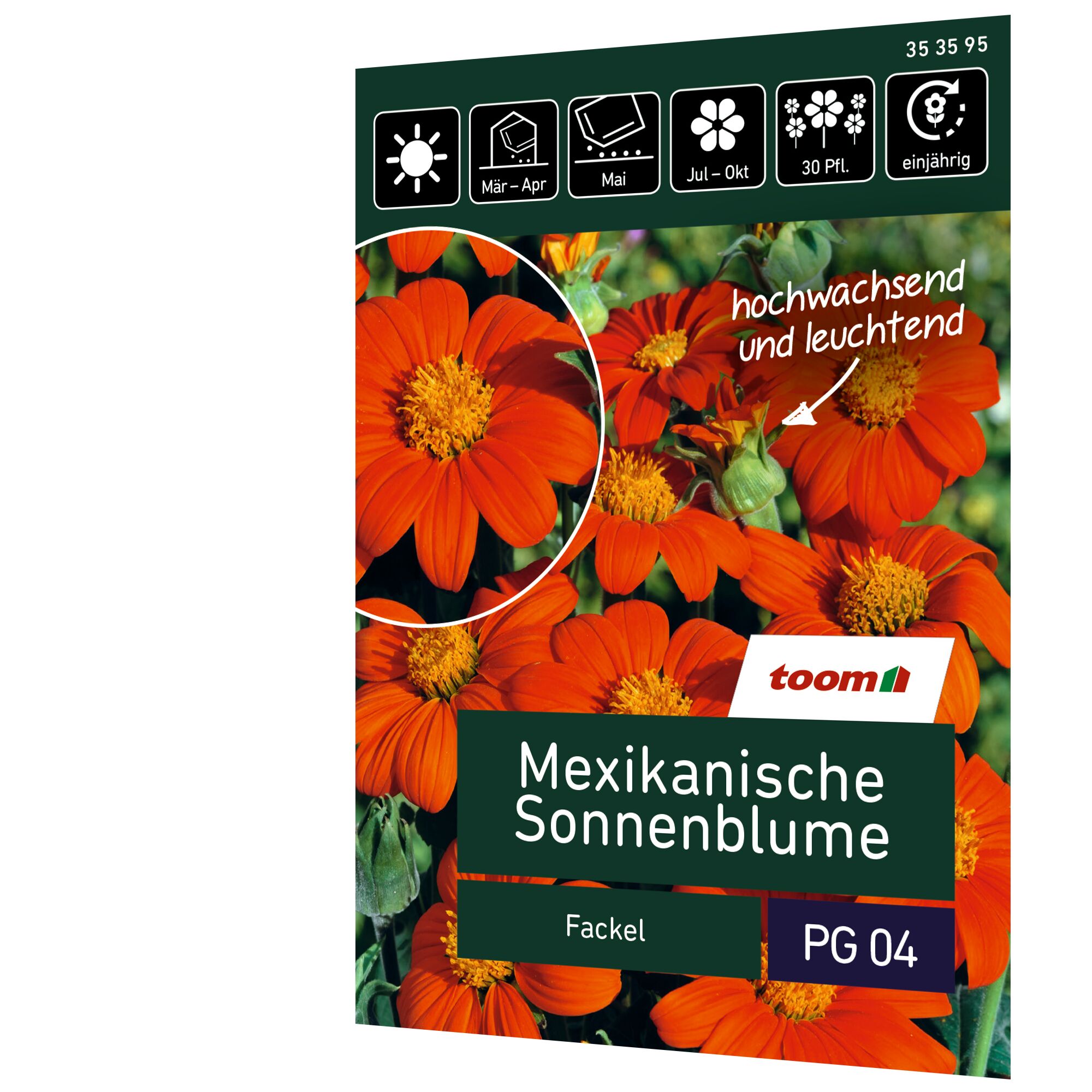 Mexikanische Sonnenblume Fackel, Samenpackung von toom