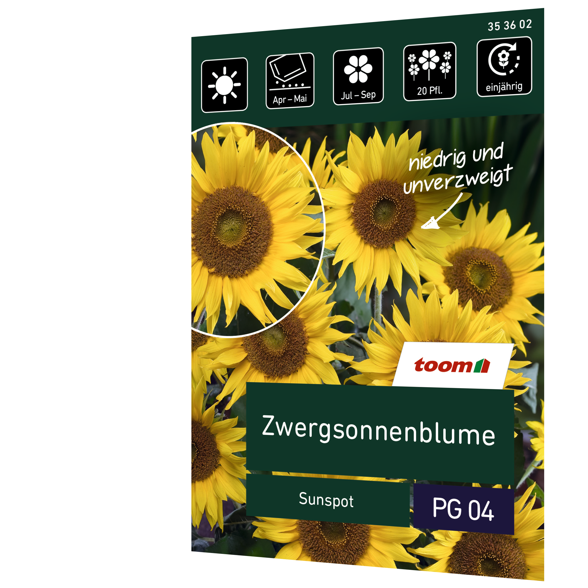 Zwergsonnenblume 'Sunspot' + product picture