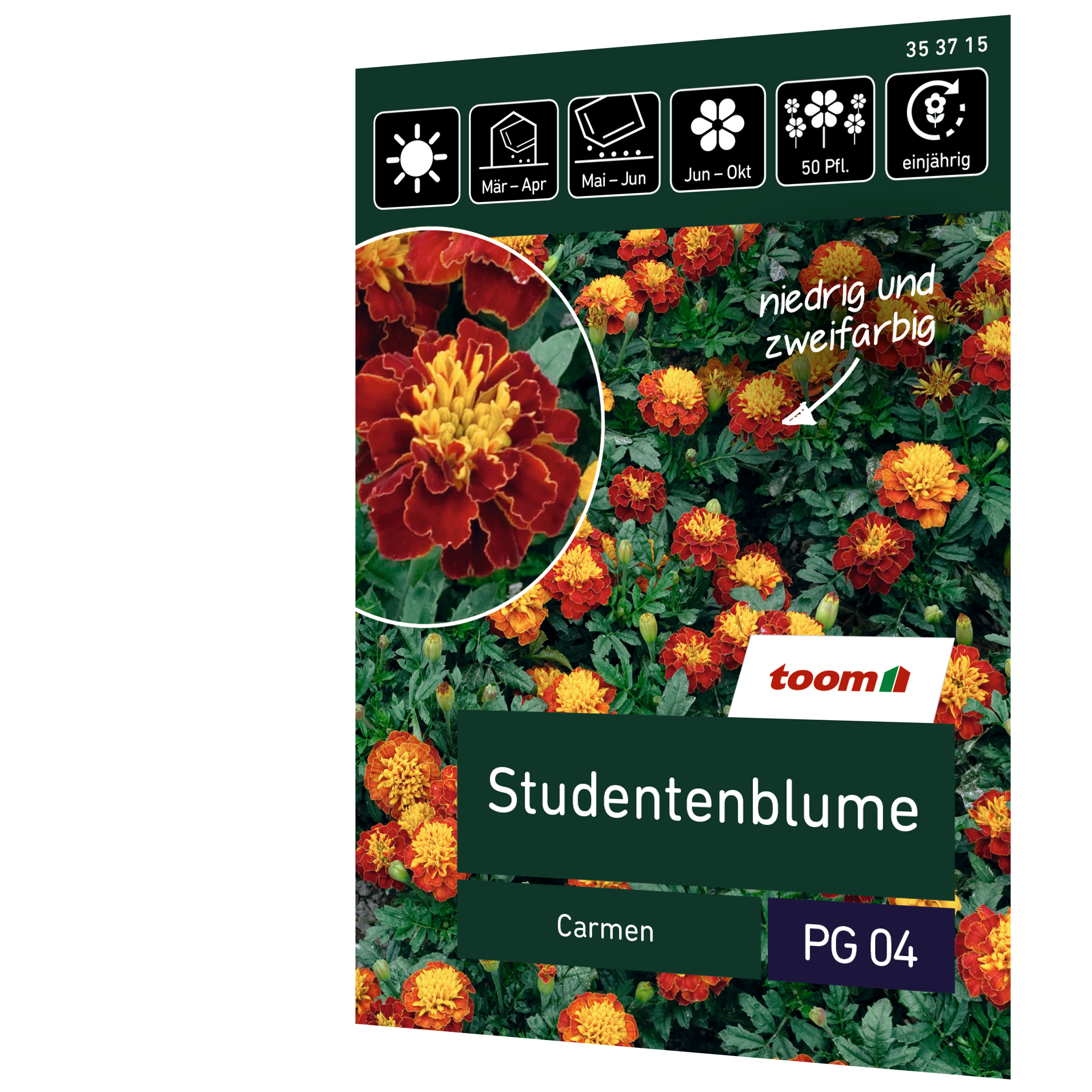 Studentenblume 'Carmen' + product picture