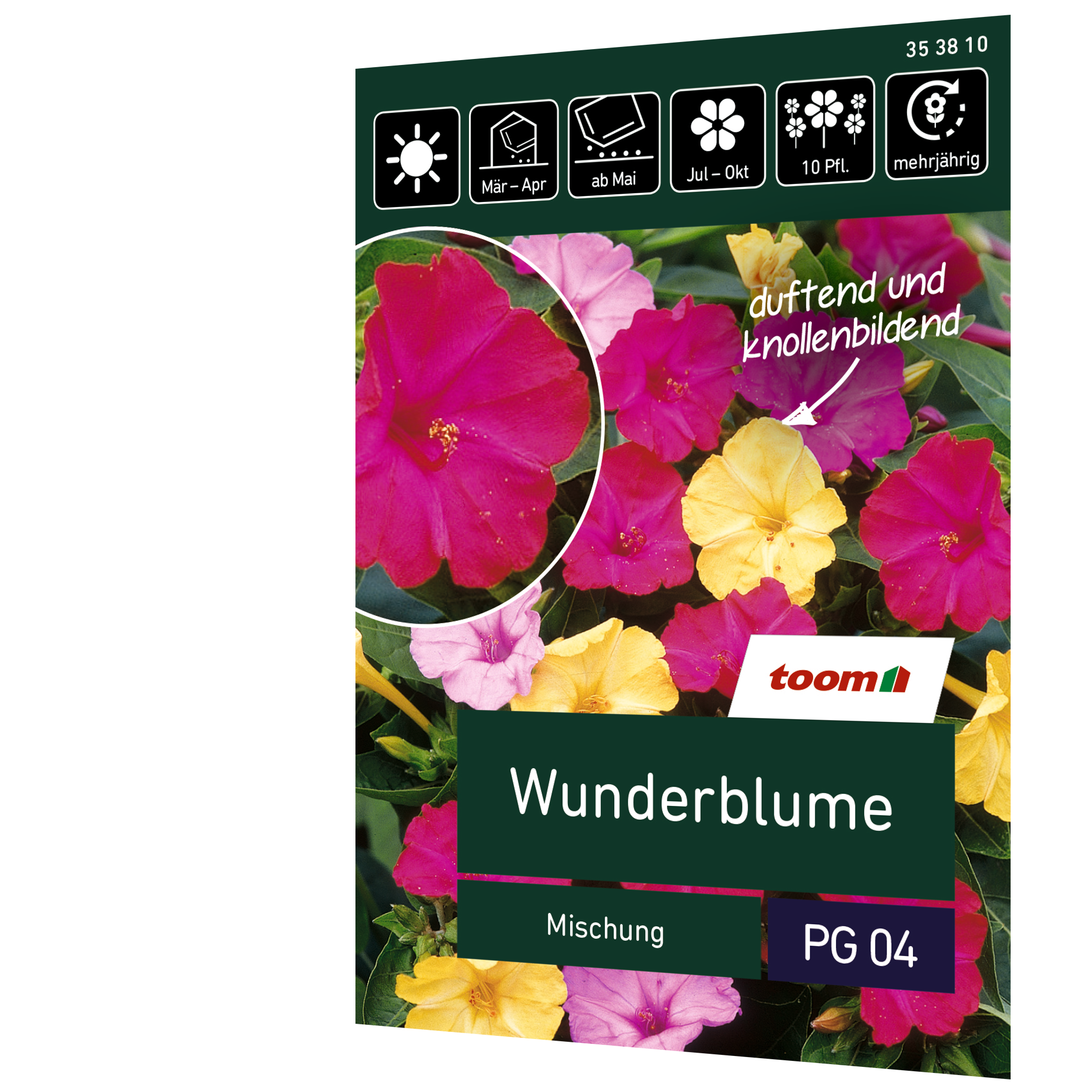 Wunderblume 'Mischung' + product picture