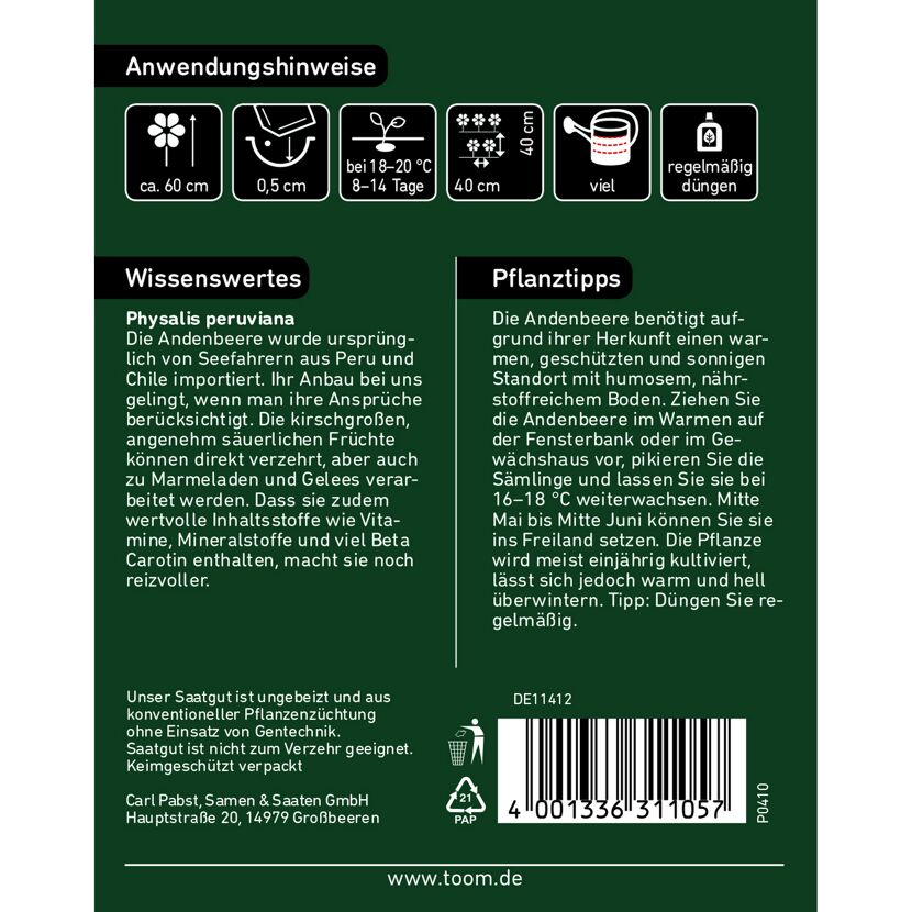 Anleitung zum Anbau von Andenbeeren