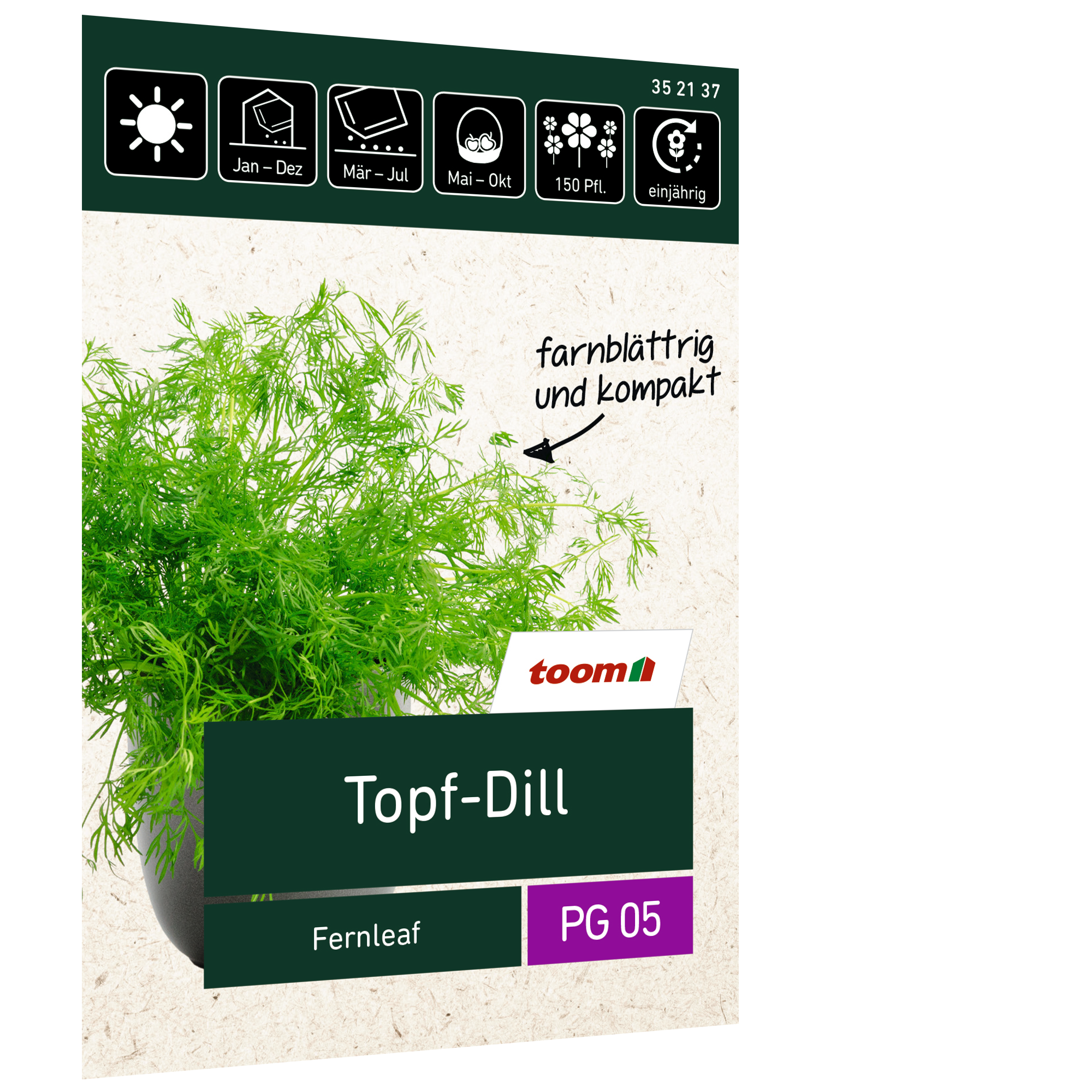 Topf-Dill 'Fernleaf' + product picture