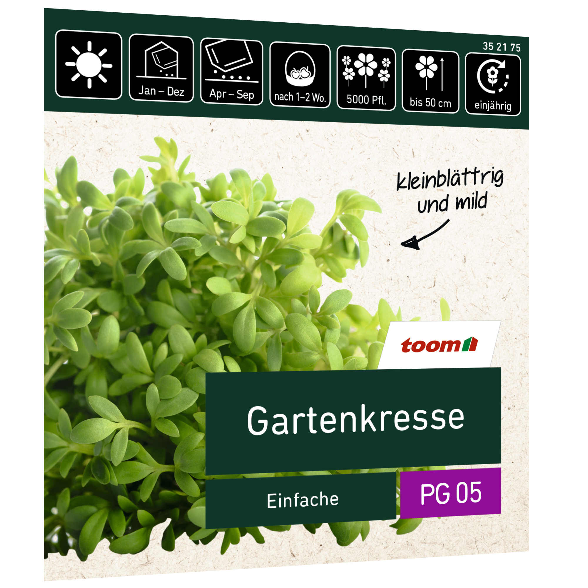 Gartenkresse 'Einfache Großpackung' + product picture