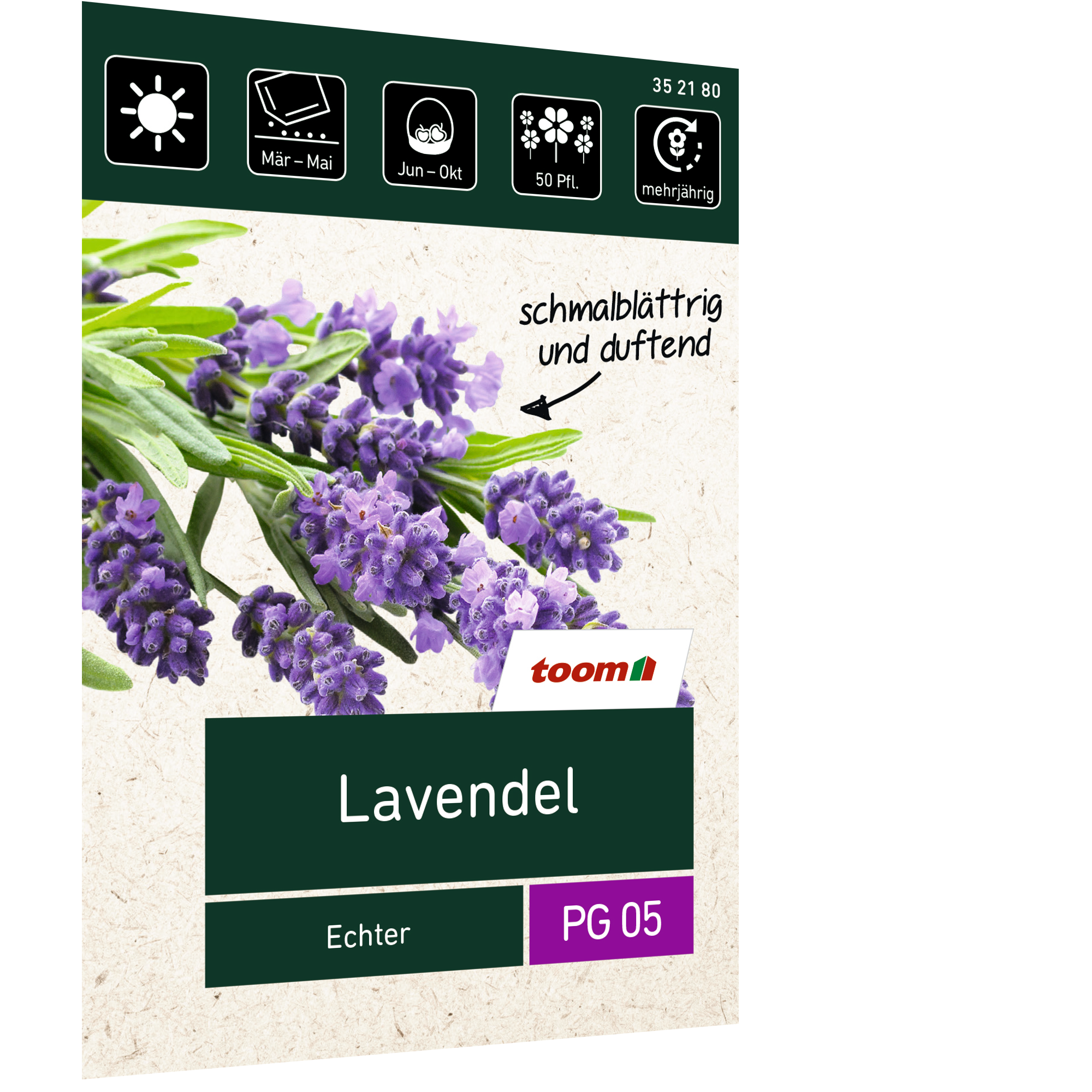 Lavendel 'Echter' + product picture