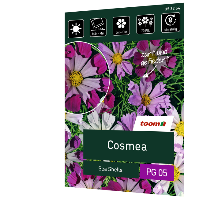 Bild von Cosmea 'Sea Shells'
