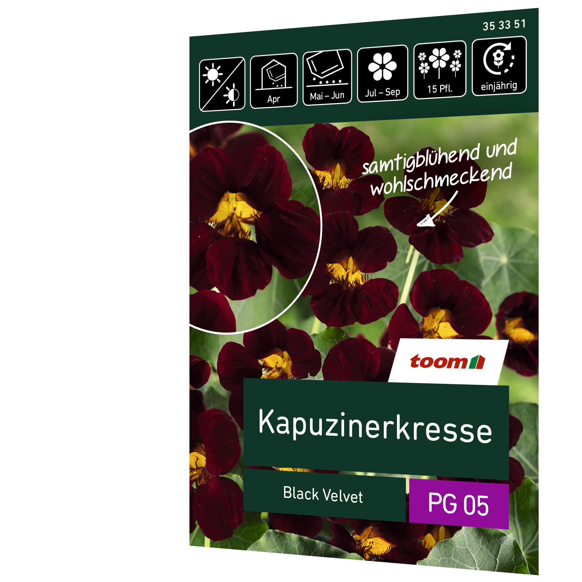 Kapuzinerkresse Black Velvet