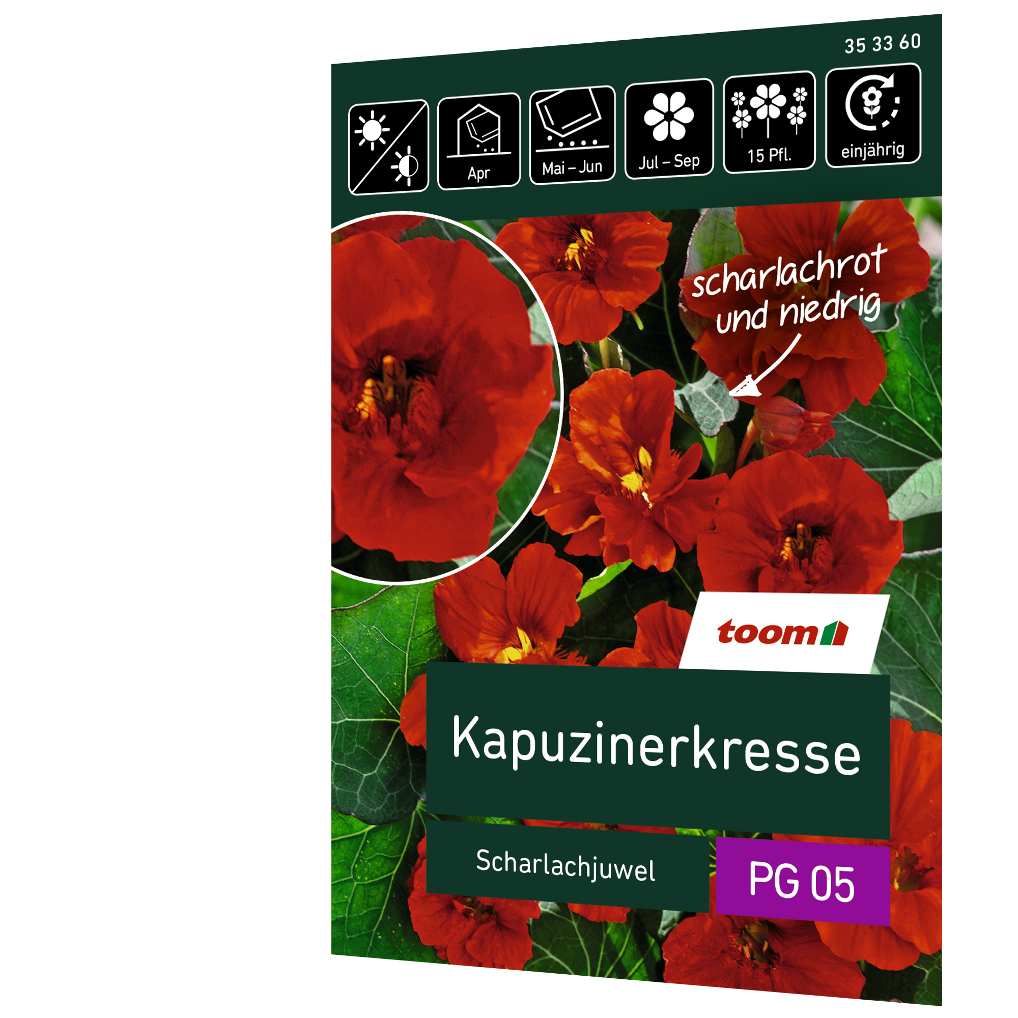 Kapuzinerkresse 'Scharlachjuwel' + product picture