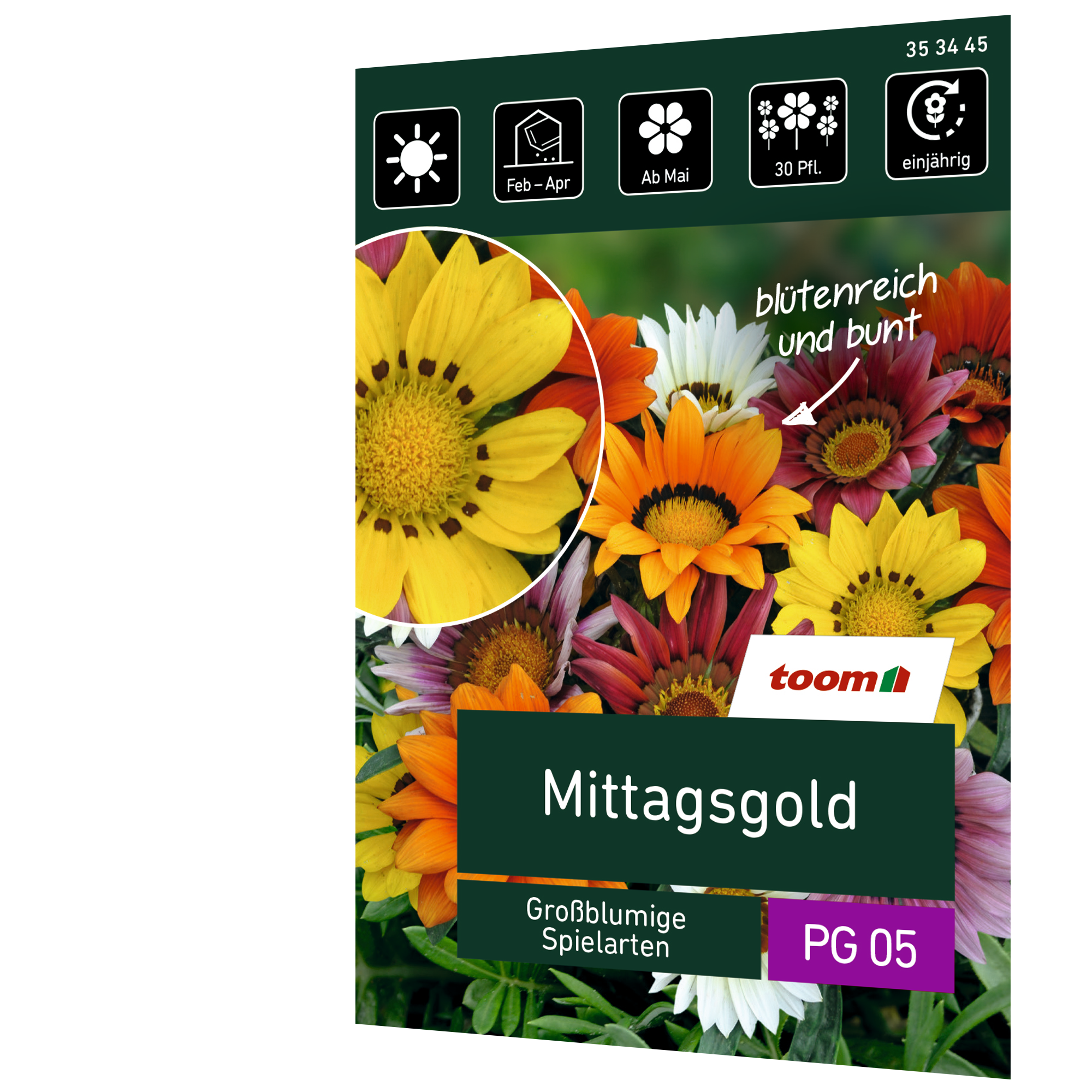 Mittagsgold 'Großblumige Spielarten' + product picture