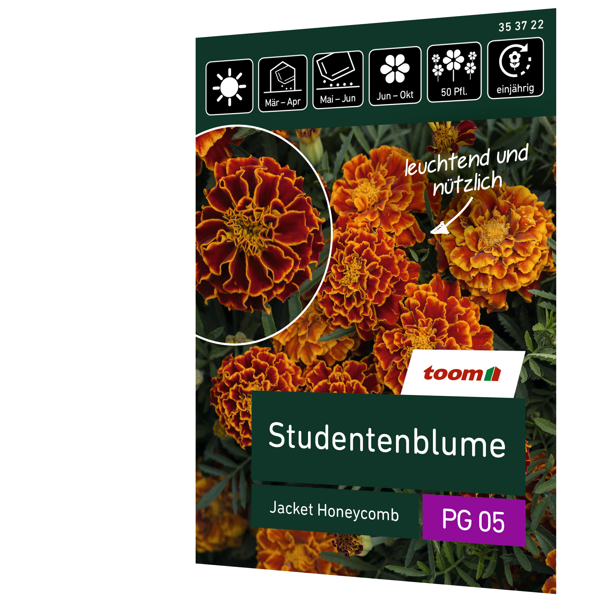 Studentenblume 'Jacket Honeycomb' + product picture