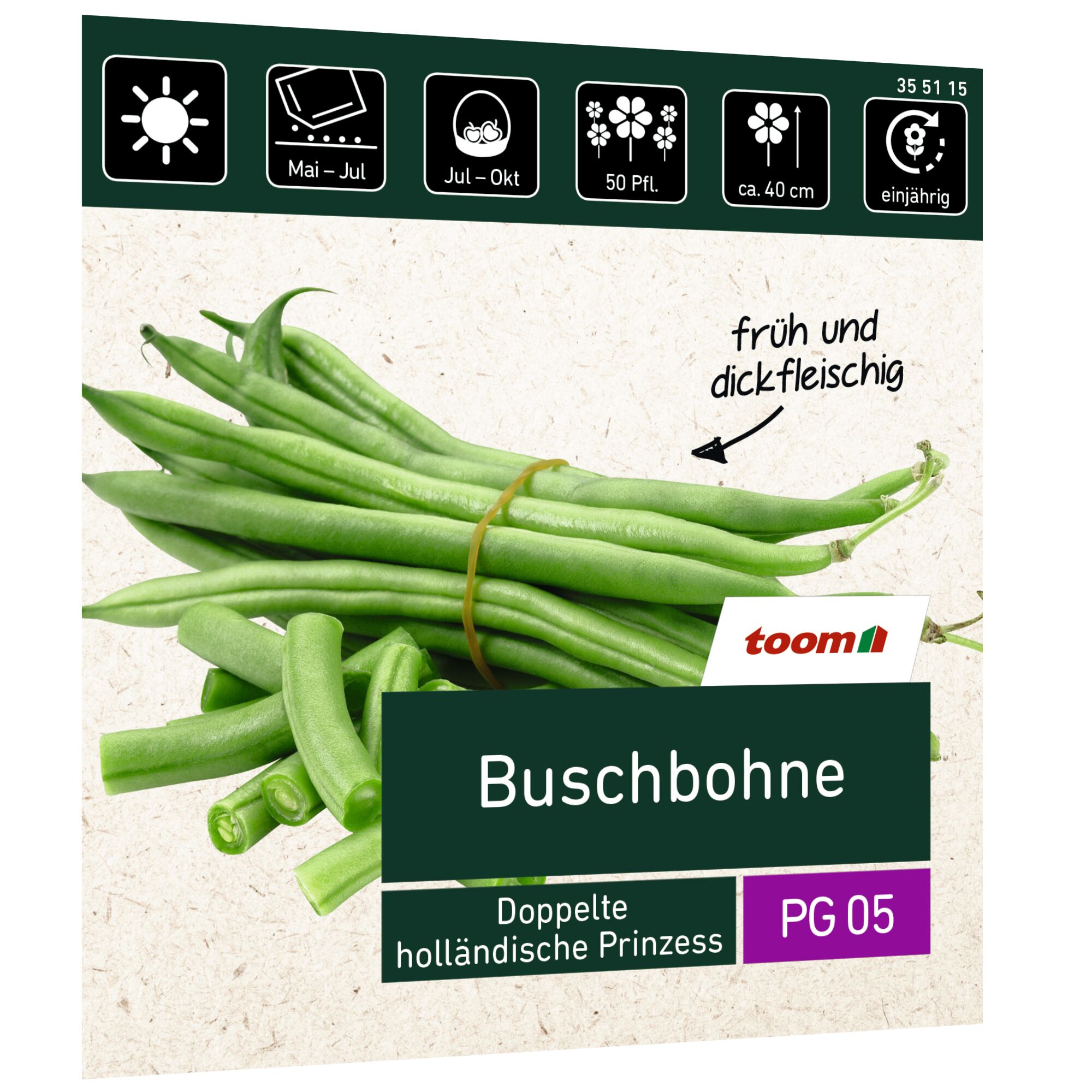 Buschbohnen Doppelte holländische Prinzess