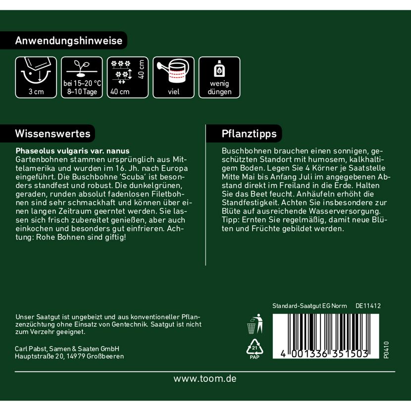 Buschbohne Scuba, Aussaat- und Pflanztipps