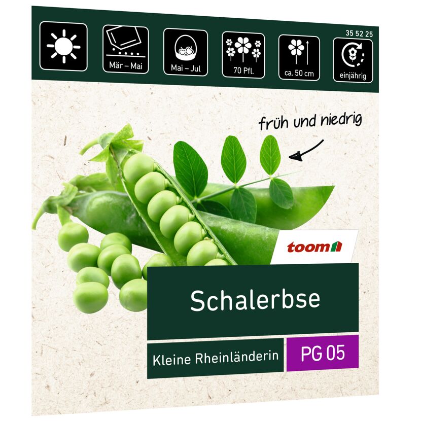 Samen Schalerbse Kleine Rheinländerin