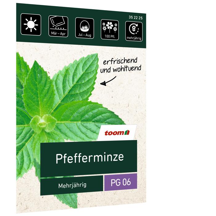toom Pfefferminze 'Mehrjährig'