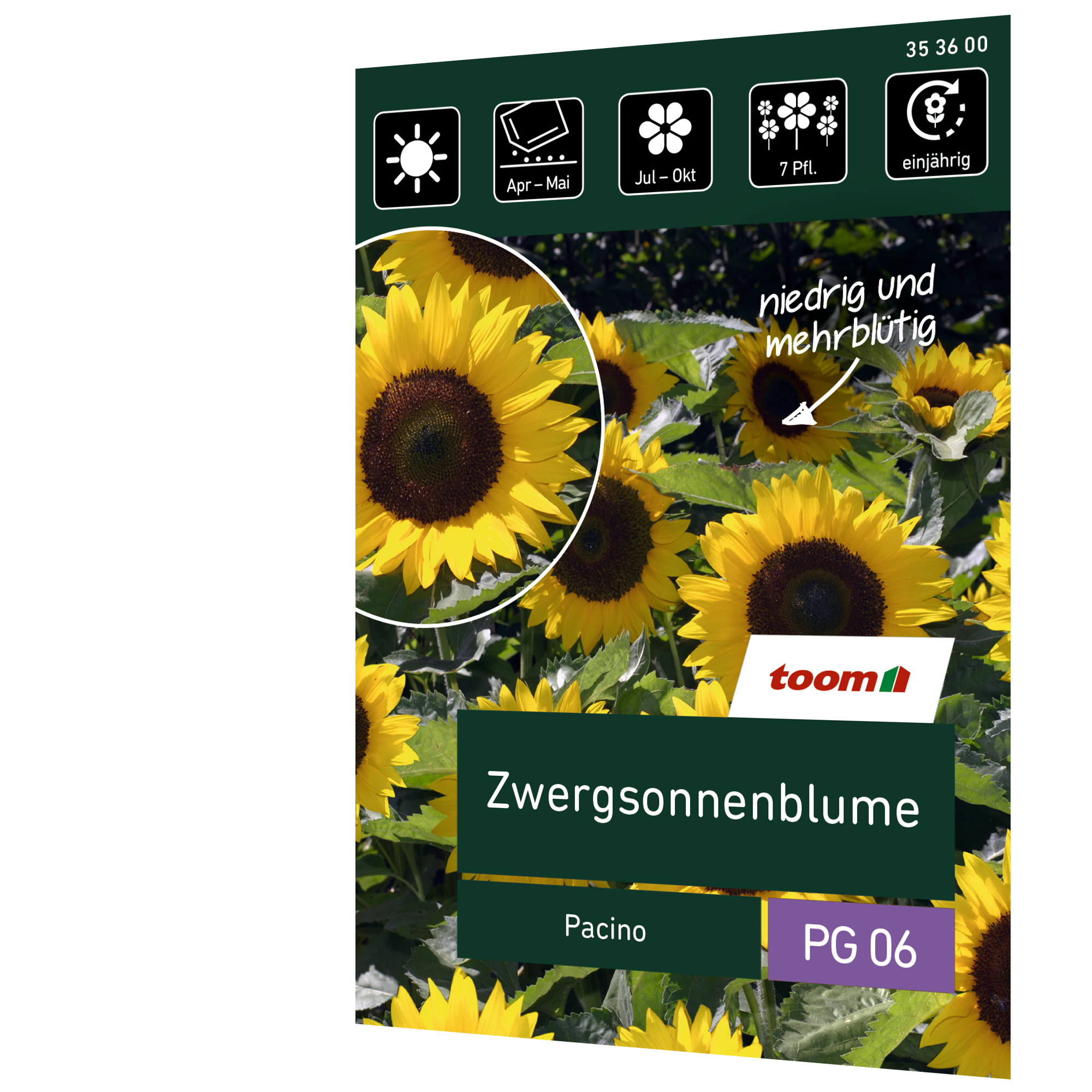 Zwergsonnenblume 'Pacino' + product picture