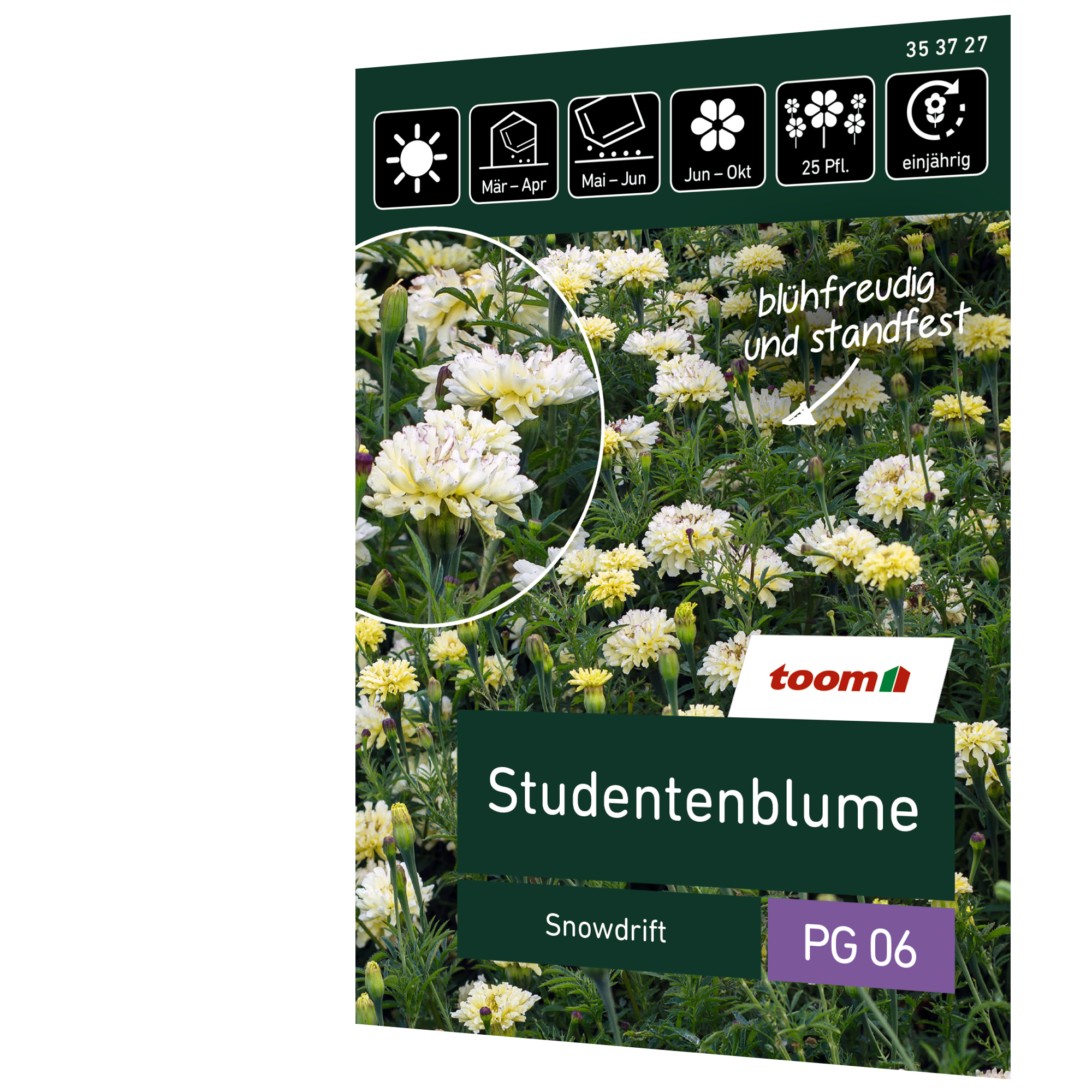 Studentenblume 'Snowdrift' + product picture