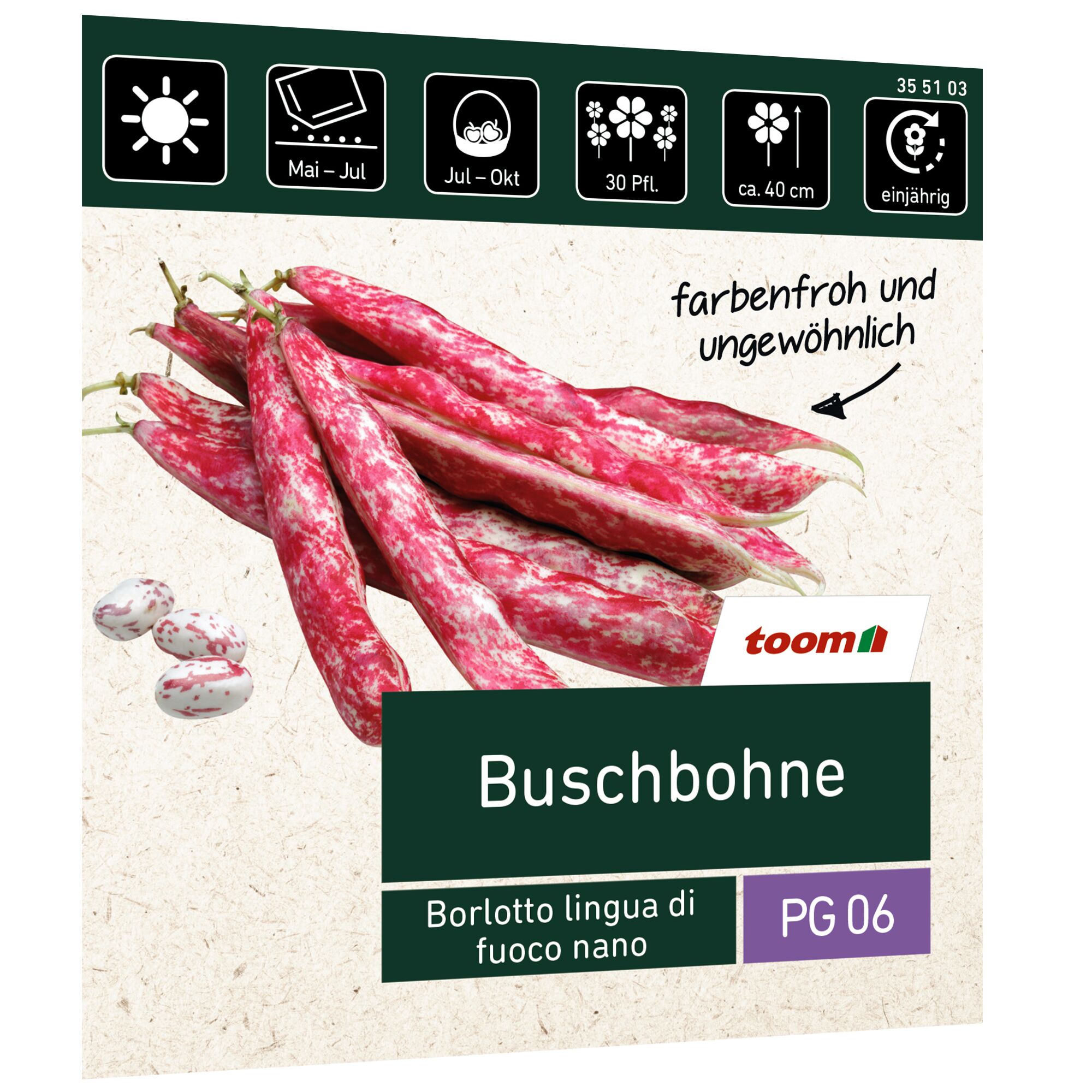Buschbohne Borlotto lingua di fuoco nano, Samen und Schoten