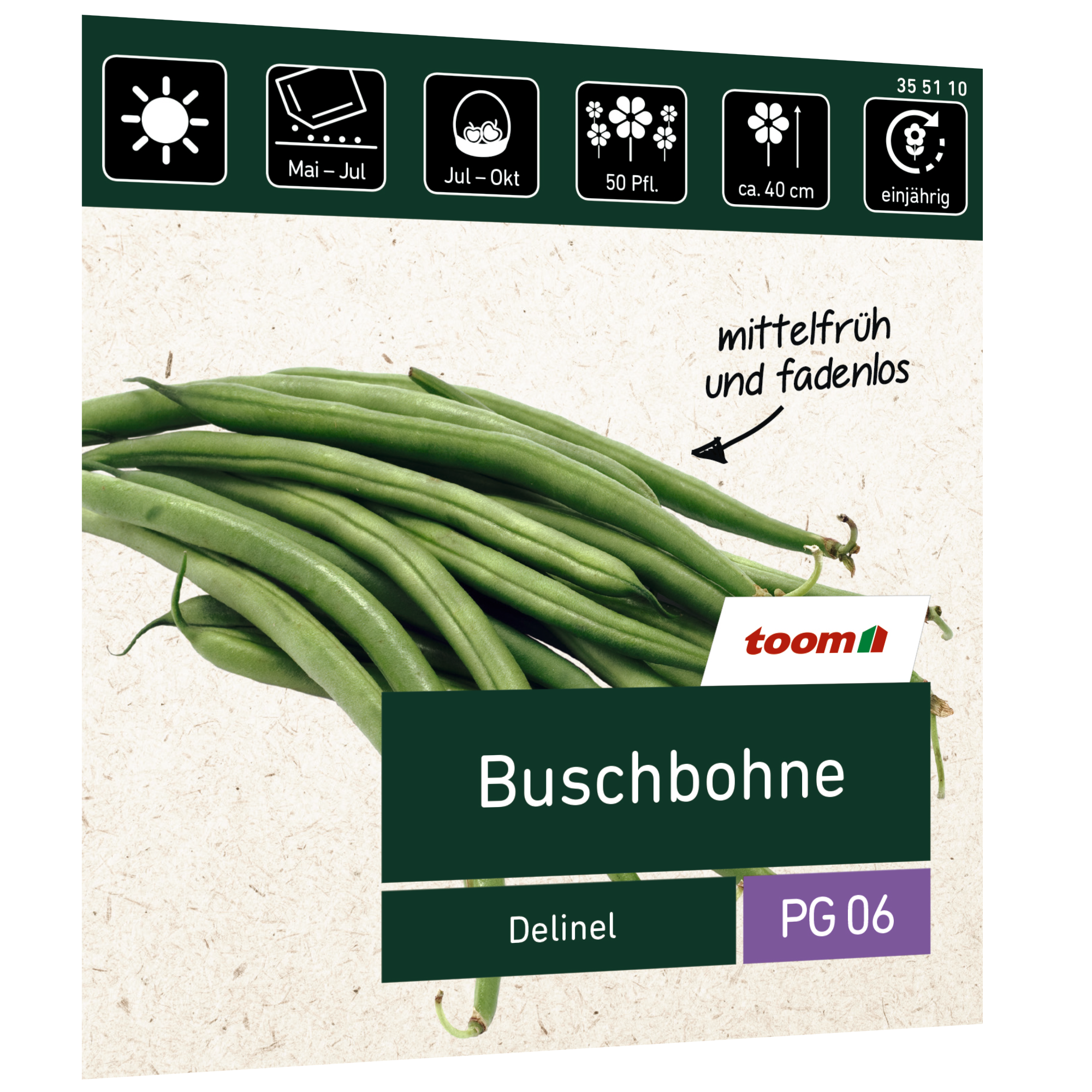 Buschbohne 'Delinel' + product picture