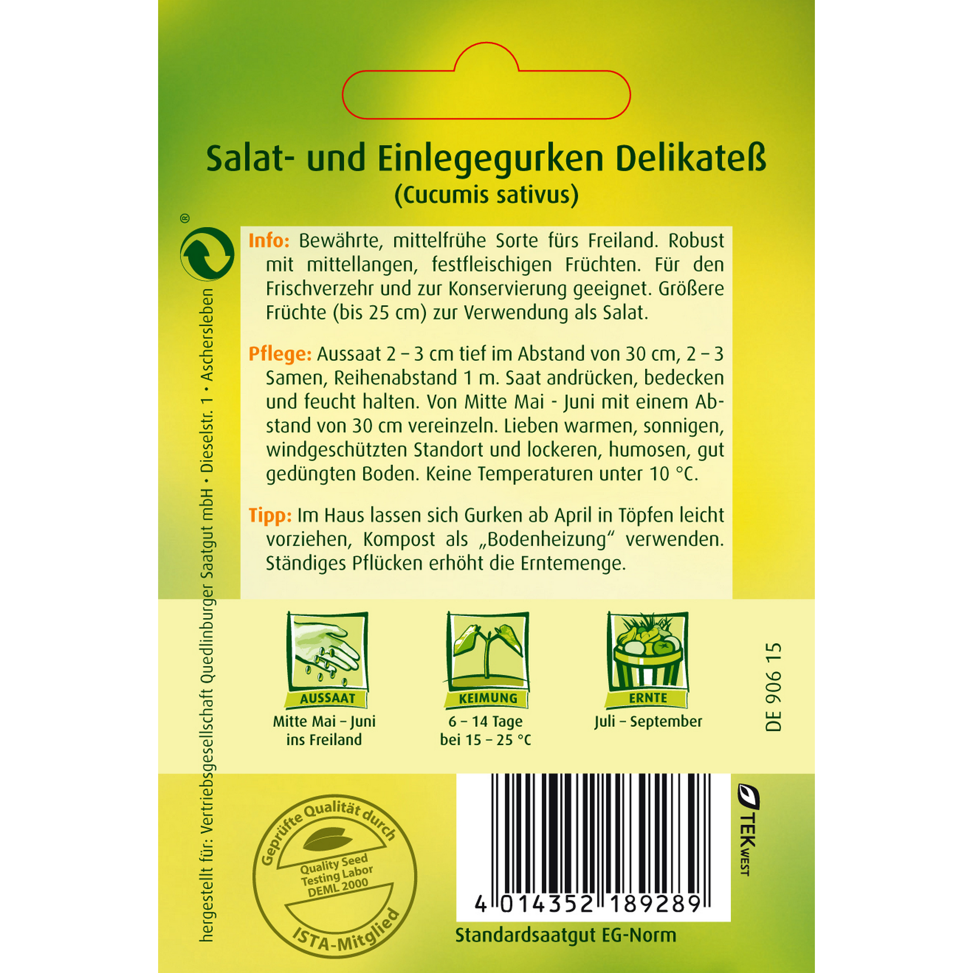 Salat-/Einlegegurke 'Delikateß' + product picture